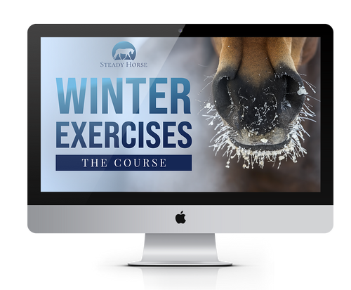 Winter Exercises
