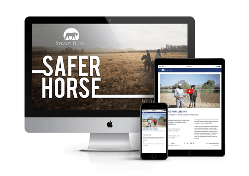 Safer Horse Course
