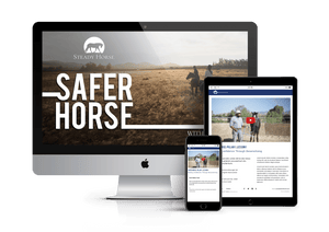 Safer Horse Course
