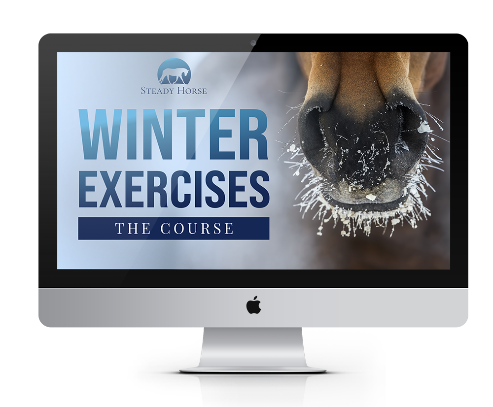 Winter Exercises